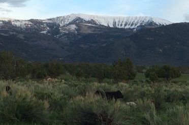 Spring City Canyon Foot Trail